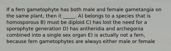 If a fern gametophyte has both male and female gametangia on the same plant, then it _____. A) belongs to a species that is homosporous B) must be diploid C) has lost the need for a sporophyte generation D) has antheridia and archegonia combined into a single sex organ E) is actually not a fern, because fern gametophytes are always either male or female