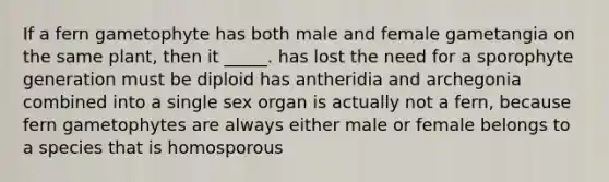 If a fern gametophyte has both male and female gametangia on the same plant, then it _____. has lost the need for a sporophyte generation must be diploid has antheridia and archegonia combined into a single sex organ is actually not a fern, because fern gametophytes are always either male or female belongs to a species that is homosporous