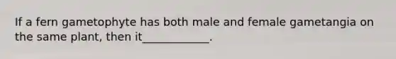 If a fern gametophyte has both male and female gametangia on the same plant, then it____________.