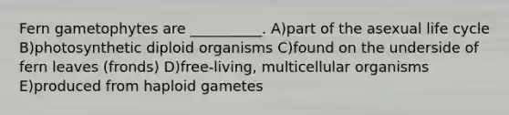 Fern gametophytes are __________. A)part of the asexual life cycle B)photosynthetic diploid organisms C)found on the underside of fern leaves (fronds) D)free-living, multicellular organisms E)produced from haploid gametes