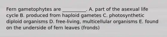 Fern gametophytes are __________. A. part of the asexual life cycle B. produced from haploid gametes C. photosynthetic diploid organisms D. free-living, multicellular organisms E. found on the underside of fern leaves (fronds)