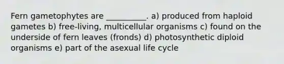 Fern gametophytes are __________. a) produced from haploid gametes b) free-living, multicellular organisms c) found on the underside of fern leaves (fronds) d) photosynthetic diploid organisms e) part of the asexual life cycle