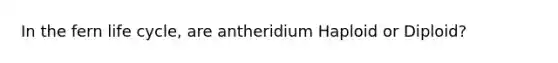 In the fern life cycle, are antheridium Haploid or Diploid?