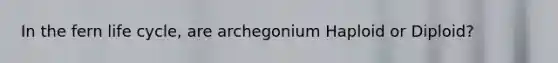 In the fern life cycle, are archegonium Haploid or Diploid?