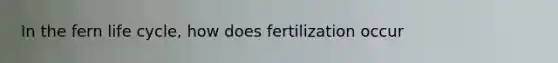 In the fern life cycle, how does fertilization occur