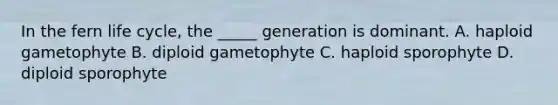 In the fern life cycle, the _____ generation is dominant. A. haploid gametophyte B. diploid gametophyte C. haploid sporophyte D. diploid sporophyte