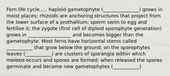 Fern life cycle..... haploid gametophyte (_______________) grows in moist places; rhizoids are anchoring structures that project from the lower surface of a prothallium; sperm swim to egg and fertilize it; the zygote (first cell of diploid sporophyte generation) grows in __________________ and becomes bigger than the gametophyte. Most ferns have horizontal stems called ___________ that grow below the ground; on the sporophytes leaves (___________) are clusters of sporangia within which meiosis occurs and spores are formed; when released the spores germinate and become new gametophytes (___________)