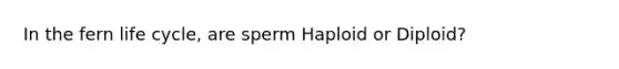 In the fern life cycle, are sperm Haploid or Diploid?