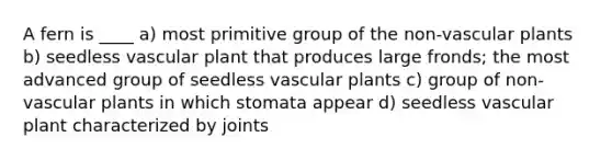 A fern is ____ a) most primitive group of the non-<a href='https://www.questionai.com/knowledge/kbaUXKuBoK-vascular-plants' class='anchor-knowledge'>vascular plants</a> b) seedless vascular plant that produces large fronds; the most advanced group of seedless vascular plants c) group of non-vascular plants in which stomata appear d) seedless vascular plant characterized by joints