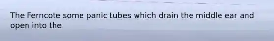 The Ferncote some panic tubes which drain the middle ear and open into the