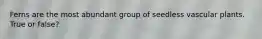Ferns are the most abundant group of seedless vascular plants. True or false?