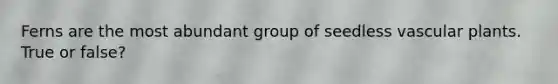 Ferns are the most abundant group of seedless <a href='https://www.questionai.com/knowledge/kbaUXKuBoK-vascular-plants' class='anchor-knowledge'>vascular plants</a>. True or false?
