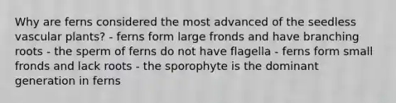 Why are ferns considered the most advanced of the seedless vascular plants? - ferns form large fronds and have branching roots - the sperm of ferns do not have flagella - ferns form small fronds and lack roots - the sporophyte is the dominant generation in ferns