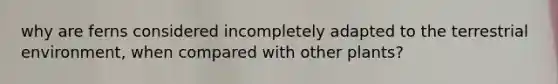 why are ferns considered incompletely adapted to the terrestrial environment, when compared with other plants?