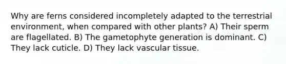 Why are ferns considered incompletely adapted to the terrestrial environment, when compared with other plants? A) Their sperm are flagellated. B) The gametophyte generation is dominant. C) They lack cuticle. D) They lack <a href='https://www.questionai.com/knowledge/k1HVFq17mo-vascular-tissue' class='anchor-knowledge'>vascular tissue</a>.