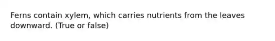 Ferns contain xylem, which carries nutrients from the leaves downward. (True or false)