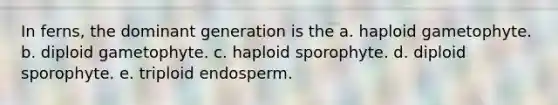 In ferns, the dominant generation is the a. haploid gametophyte. b. diploid gametophyte. c. haploid sporophyte. d. diploid sporophyte. e. triploid endosperm.