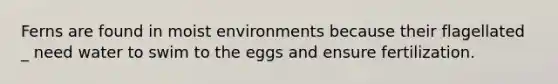 Ferns are found in moist environments because their flagellated _ need water to swim to the eggs and ensure fertilization.