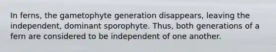 In ferns, the gametophyte generation disappears, leaving the independent, dominant sporophyte. Thus, both generations of a fern are considered to be independent of one another.