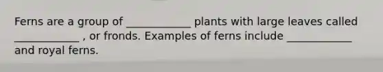 Ferns are a group of ____________ plants with large leaves called ____________ , or fronds. Examples of ferns include ____________ and royal ferns.