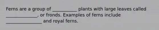 Ferns are a group of ___________ plants with large leaves called ______________, or fronds. Examples of ferns include ________________ and royal ferns.