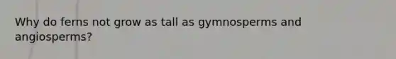 Why do ferns not grow as tall as gymnosperms and angiosperms?