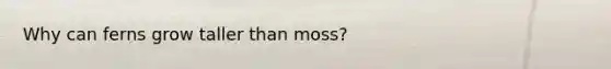 Why can ferns grow taller than moss?