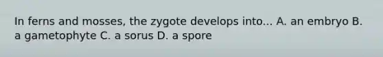 In ferns and mosses, the zygote develops into... A. an embryo B. a gametophyte C. a sorus D. a spore
