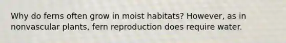 Why do ferns often grow in moist habitats? However, as in non<a href='https://www.questionai.com/knowledge/kbaUXKuBoK-vascular-plants' class='anchor-knowledge'>vascular plants</a>, fern reproduction does require water.