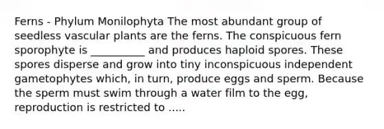 Ferns - Phylum Monilophyta The most abundant group of seedless vascular plants are the ferns. The conspicuous fern sporophyte is __________ and produces haploid spores. These spores disperse and grow into tiny inconspicuous independent gametophytes which, in turn, produce eggs and sperm. Because the sperm must swim through a water film to the egg, reproduction is restricted to .....