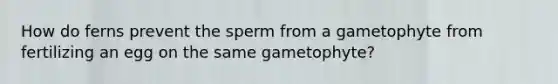 How do ferns prevent the sperm from a gametophyte from fertilizing an egg on the same gametophyte?