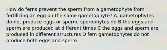 How do ferns prevent the sperm from a gametophyte from fertilizing an egg on the same gametophyte? A. gametophytes do not produce eggs or sperm, sporophytes do B the eggs and sperm are produced at different times C the eggs and sperm are produced in different structures D fern gametophytes do not produce both eggs and sperm