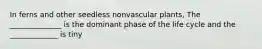 In ferns and other seedless nonvascular plants, The ______________ is the dominant phase of the life cycle and the _____________ is tiny