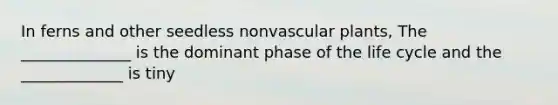 In ferns and other seedless nonvascular plants, The ______________ is the dominant phase of the life cycle and the _____________ is tiny