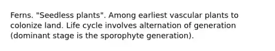 Ferns. "Seedless plants". Among earliest vascular plants to colonize land. Life cycle involves alternation of generation (dominant stage is the sporophyte generation).