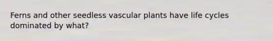 Ferns and other seedless vascular plants have life cycles dominated by what?
