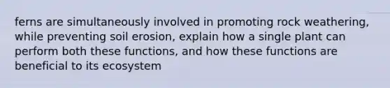 ferns are simultaneously involved in promoting rock weathering, while preventing soil erosion, explain how a single plant can perform both these functions, and how these functions are beneficial to its ecosystem