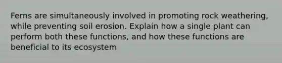 Ferns are simultaneously involved in promoting rock weathering, while preventing soil erosion. Explain how a single plant can perform both these functions, and how these functions are beneficial to its ecosystem