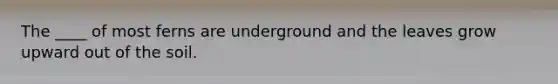 The ____ of most ferns are underground and the leaves grow upward out of the soil.
