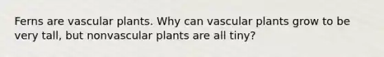 Ferns are vascular plants. Why can vascular plants grow to be very tall, but nonvascular plants are all tiny?