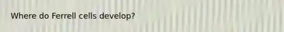 Where do Ferrell cells develop?