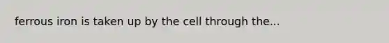 ferrous iron is taken up by the cell through the...