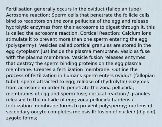 Fertilisation generally occurs in the oviduct (fallopian tube) Acrosome reaction: Sperm cells that penetrate the follicle cells bind to receptors on the zona pellucida of the egg and release hydrolytic enzymes from their acrosome to digest through it, this is called the acrosome reaction. Cortical Reaction: Calcium ions stimulate it to prevent more than one sperm entering the egg (polyspermy). Vesicles called cortical granules are stored in the egg cytoplasm just inside the plasma membrane. Vesicles fuse with the plasma membrane. Vesicle fusion releases enzymes that destroy the sperm-binding proteins on the egg plasma membrane. Creates a fertilization membrane. Outline the process of fertilization in humans sperm enters oviduct (fallopian tube); sperm attracted to egg; release of (hydrolytic) enzymes from acrosome in order to penetrate the zona pellucida; membranes of egg and sperm fuse; cortical reaction / granules released to the outside of egg; zona pellucida hardens / fertilization membrane forms to prevent polyspermy; nucleus of secondary oocyte completes meiosis II; fusion of nuclei / (diploid) zygote forms;