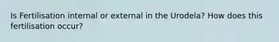 Is Fertilisation internal or external in the Urodela? How does this fertilisation occur?