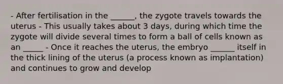 - After fertilisation in the ______, the zygote travels towards the uterus - This usually takes about 3 days, during which time the zygote will divide several times to form a ball of cells known as an _____ - Once it reaches the uterus, the embryo ______ itself in the thick lining of the uterus (a process known as implantation) and continues to grow and develop