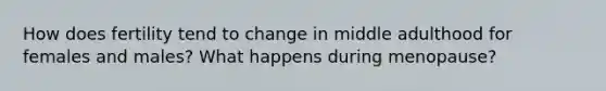 How does fertility tend to change in middle adulthood for females and males? What happens during menopause?