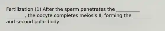 Fertilization (1) After the sperm penetrates the __________ ________, the oocyte completes meiosis II, forming the ________ and second polar body