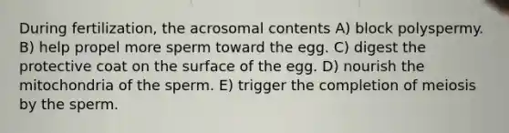 During fertilization, the acrosomal contents A) block polyspermy. B) help propel more sperm toward the egg. C) digest the protective coat on the surface of the egg. D) nourish the mitochondria of the sperm. E) trigger the completion of meiosis by the sperm.