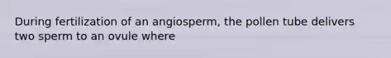 During fertilization of an angiosperm, the pollen tube delivers two sperm to an ovule where