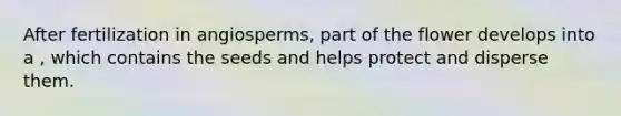 After fertilization in angiosperms, part of the flower develops into a , which contains the seeds and helps protect and disperse them.